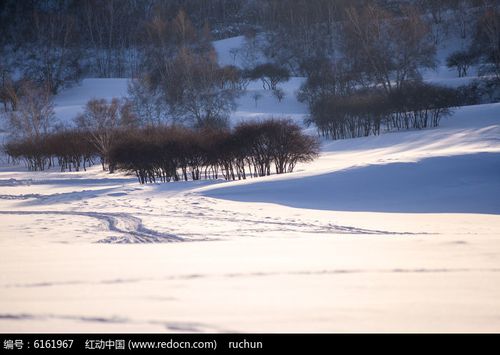 《雪花飘飘》作者:李芳莹【主播:涛声依旧】【桃源国际诗歌集团】用声音传递温暖以诵读致敬人生♬（图5）
