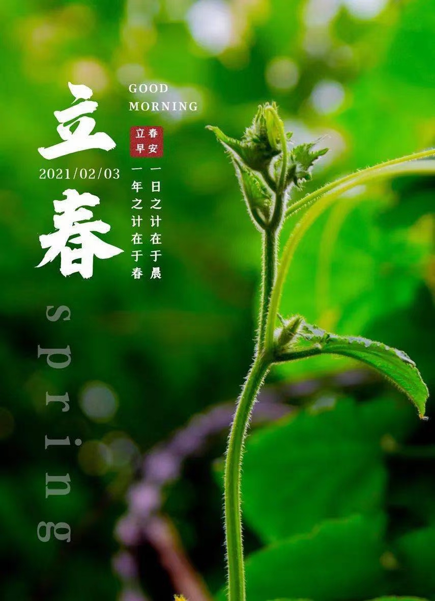 立春-文／柔和-西银/北京头条（图2）