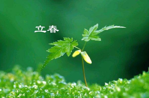 立春 ∥ 李炫征（图3）