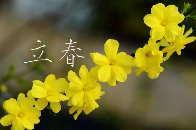 立春 ∥ 李炫征（图4）