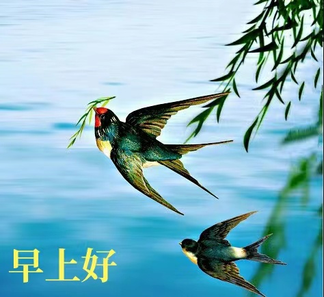 【都市头条向幸福出发编辑部】第3021期 王新华作品26