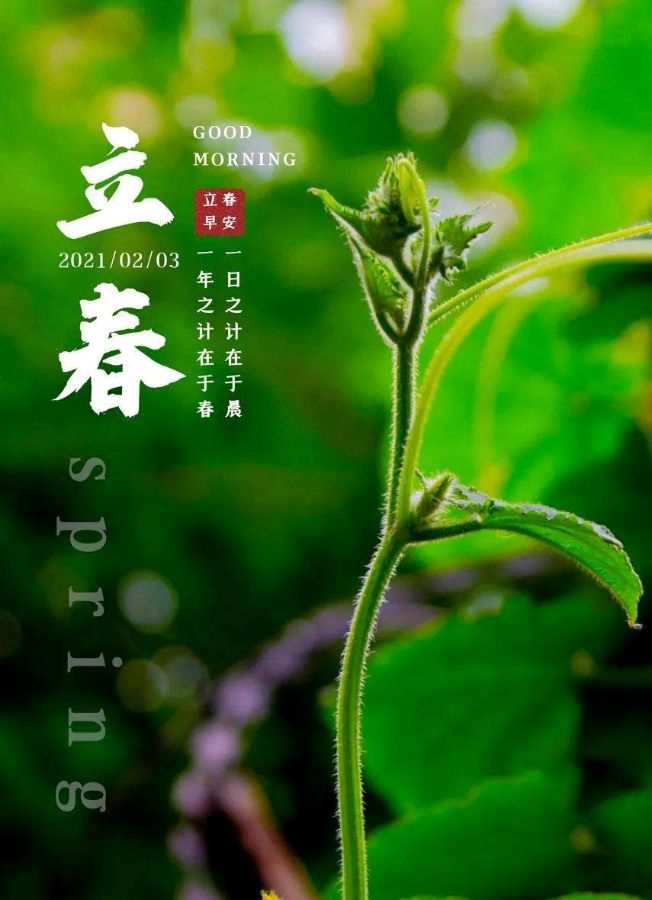 立春随笔