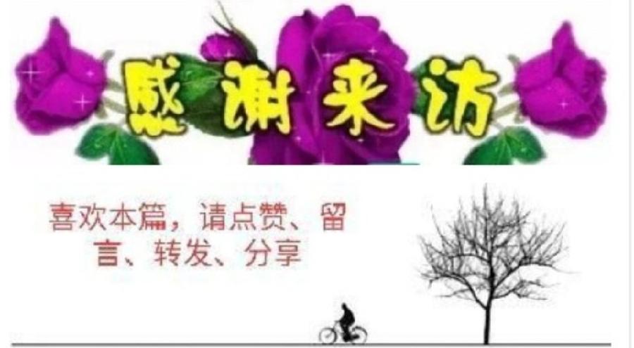 云 山/正月十五雪打灯《云山文化传媒》（图7）