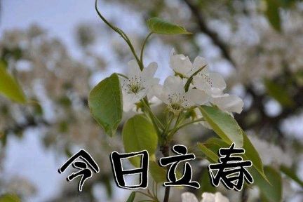 简介立春节气作者张绍钟编辑雪松主编诗韵20230204(图2)