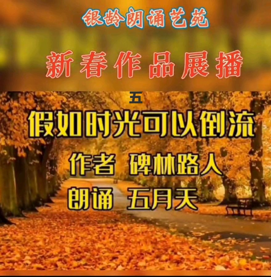 《新春作品展播》荣誉榜 银龄朗诵艺苑（图26）