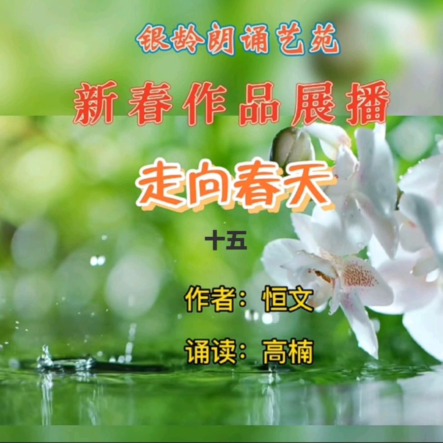 《新春作品展播》荣誉榜 银龄朗诵艺苑（图36）