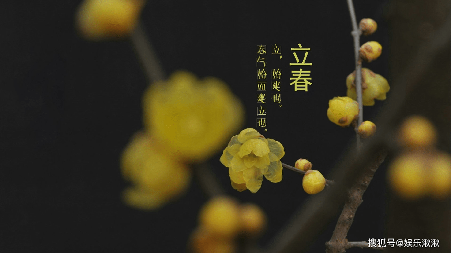 癸卯立春文友新作诗词汇／潘毅 张昕 感悟人生 江冲（图3）