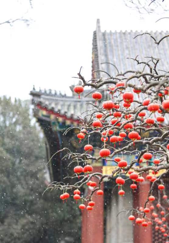 实话实说栏目组全体人员，祝大家元宵节快乐！（图7）