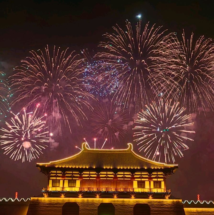 青玉案 烟花夜放洛阳城 原作/梁立锋（图25）