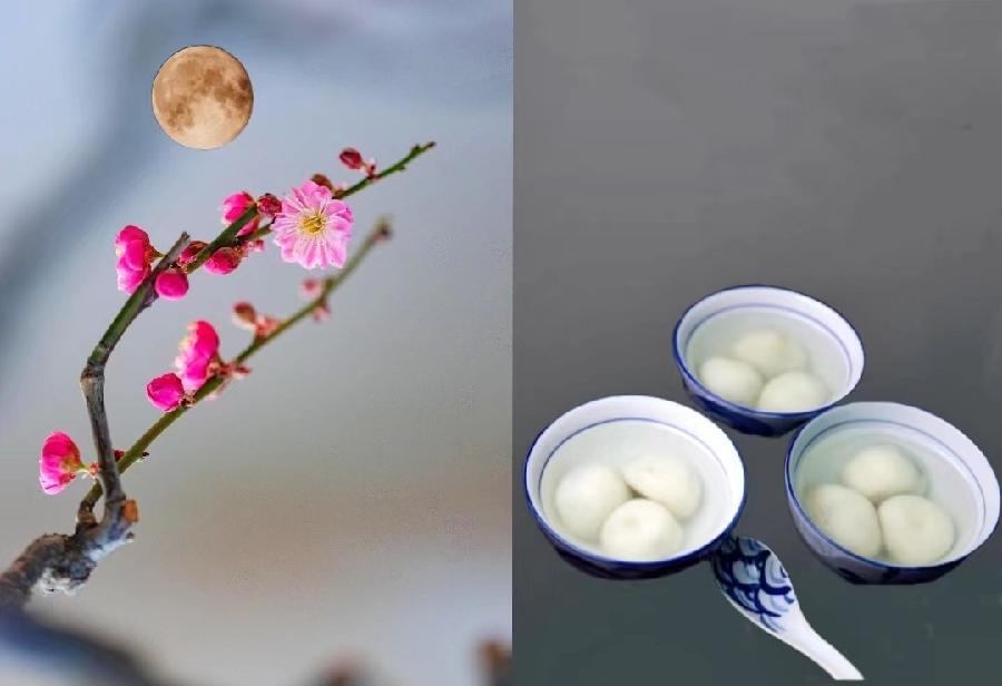 慧莹/陶朝岗朗诵【卜算子*元宵节】作者/平秀丽/世外闲人/张美英/戴联启/王书田（图14）