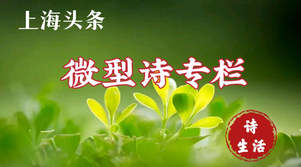 【上海头条】微型诗专栏第28期