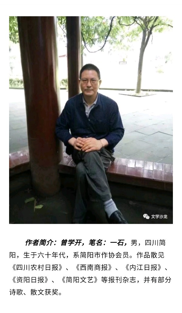 新疆行记（图7）