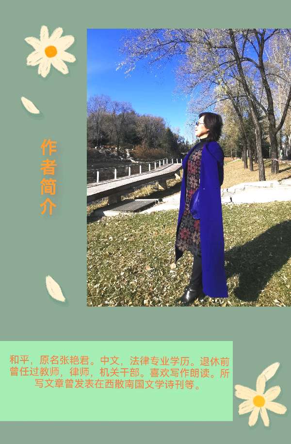【花雨馨声迎新春闹元宵联欢晚会专刊十】《回家过年》作者/和平 诵读/瑞雪丰年【第211期】（图9）