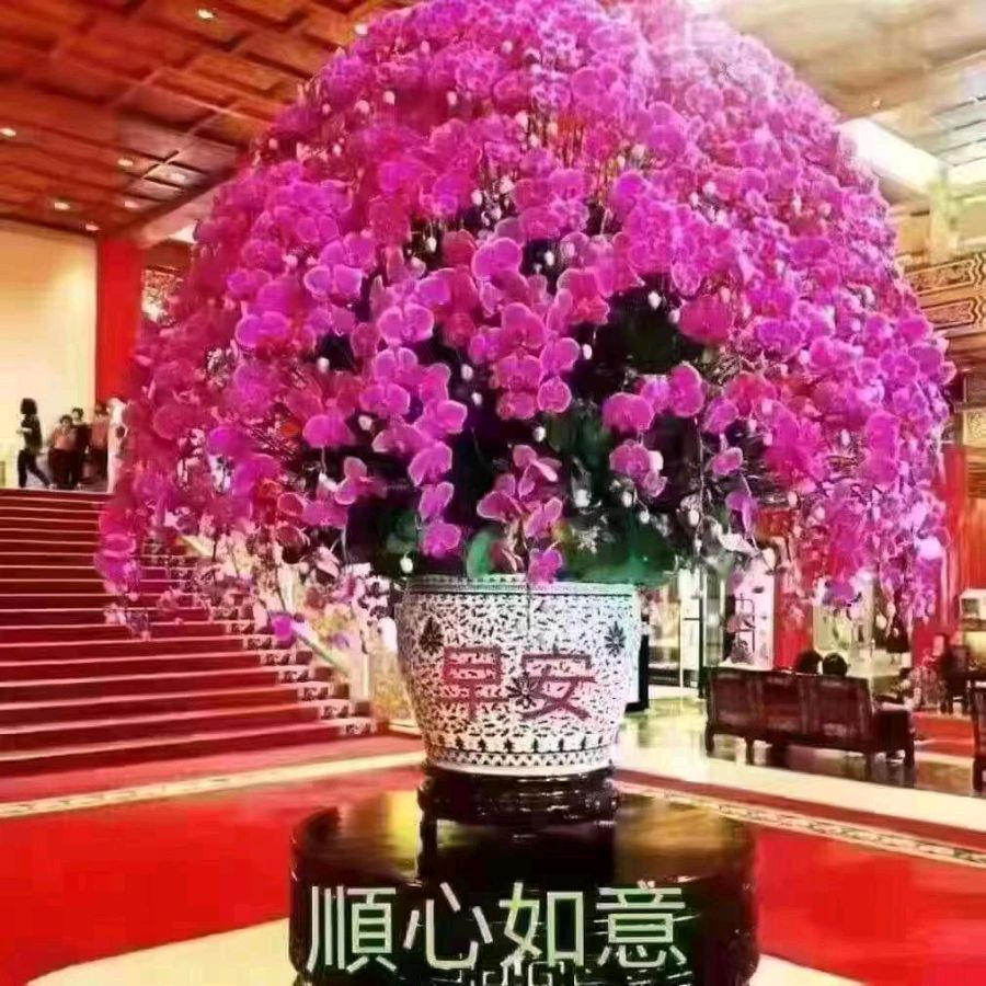 诗人白丁:期望(外二首)（图3）