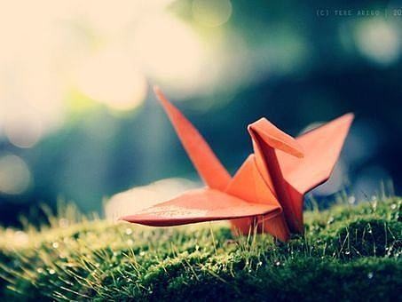 著名诗人费立强老师作品【风雨爱情云梦想】朗诵/弘华（图8）