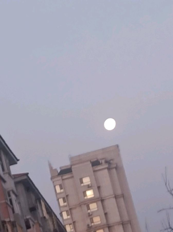 寻诗乐趣萦