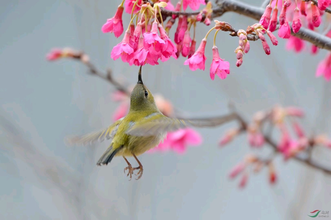 王海顺诗联欣赏（图11）