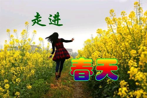 【新山东文学社】《缭绕的烟火外》作者/褚向平 主播/雨花石(图5)