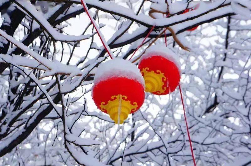 【新诗大观】春雪||文/金粉玉蝶（图3）