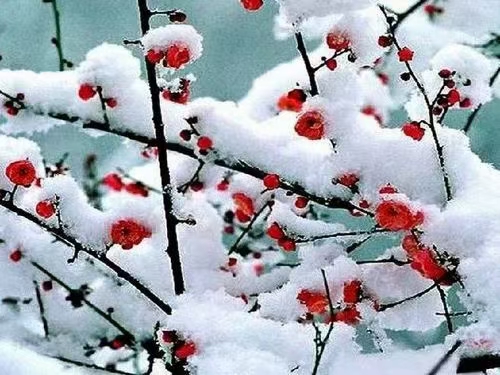 【神州源流诗苑】第871期[优秀现代诗]（含其他）周刊（图5）