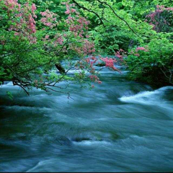 许宏朗诵【我愿意是急流】作者/裴多菲（图4）