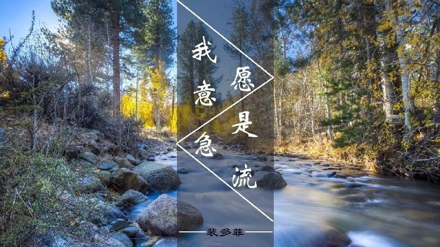 许宏朗诵【我愿意是急流】作者/裴多菲(图7)