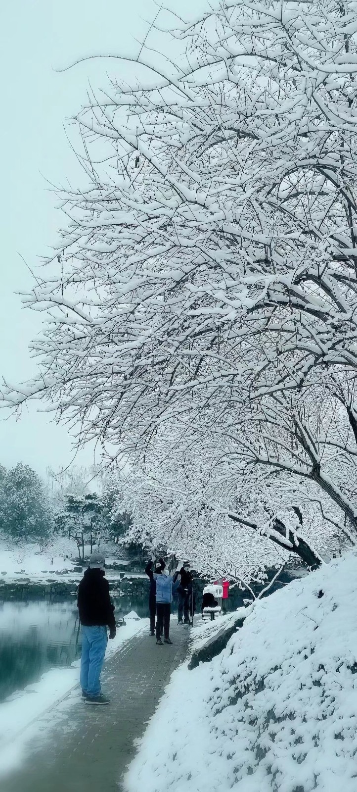 高虹朗诵【爱的春雪】作者/李虹（图7）