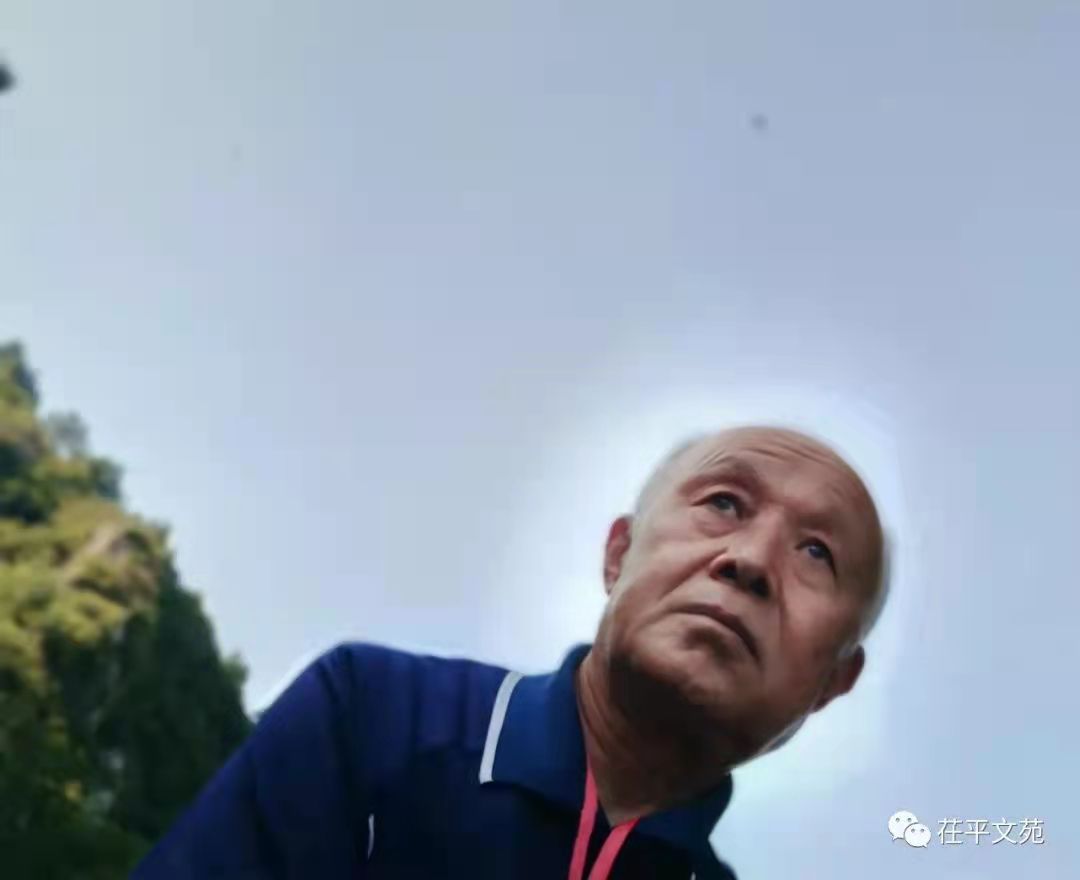 【长篇连载】山东李洪君‖‖《何处是家乡》(图2)