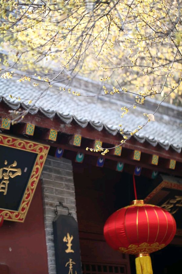 刘锁海老师美诗词四首（图6）