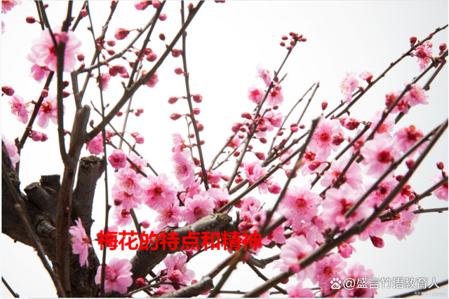 【神州源流诗苑】第872期[优秀近体诗]周刊（图6）