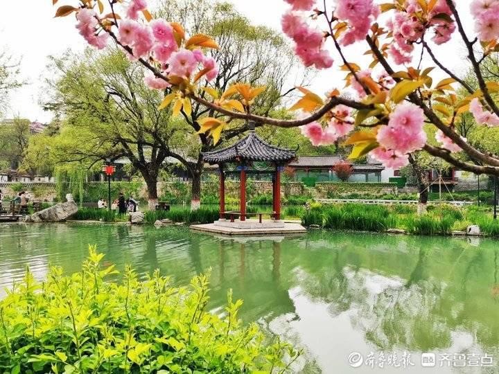 经典合诵 ‖【春天的脚步】作者/王全新 合诵/桑叶 王全新（图4）