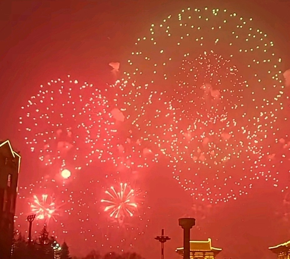 青玉案 烟花夜放洛阳城 原作/梁立锋（图28）