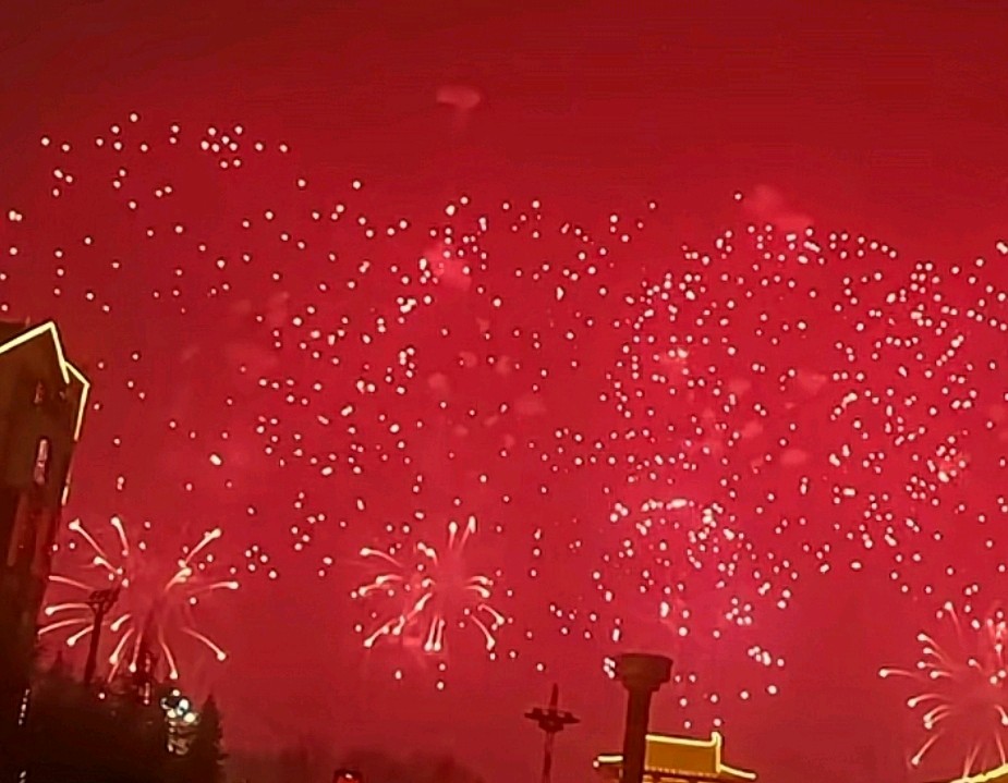 青玉案 烟花夜放洛阳城 原作/梁立锋（图30）