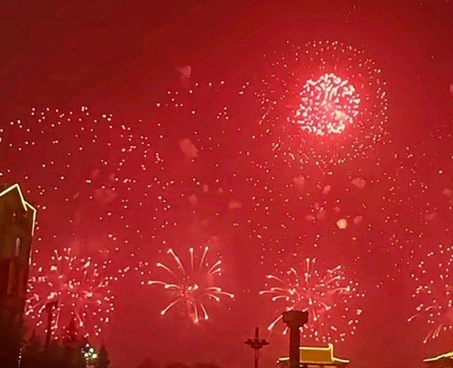 青玉案 烟花夜放洛阳城 原作/梁立锋（图34）
