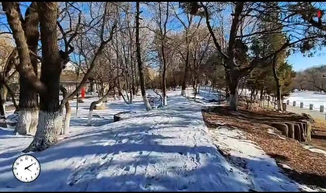 【中国长江文学社】名家名诵《冬日里的公园》/作者快乐一生/诵读世英/制作/宋梅【第5224期】（图3）