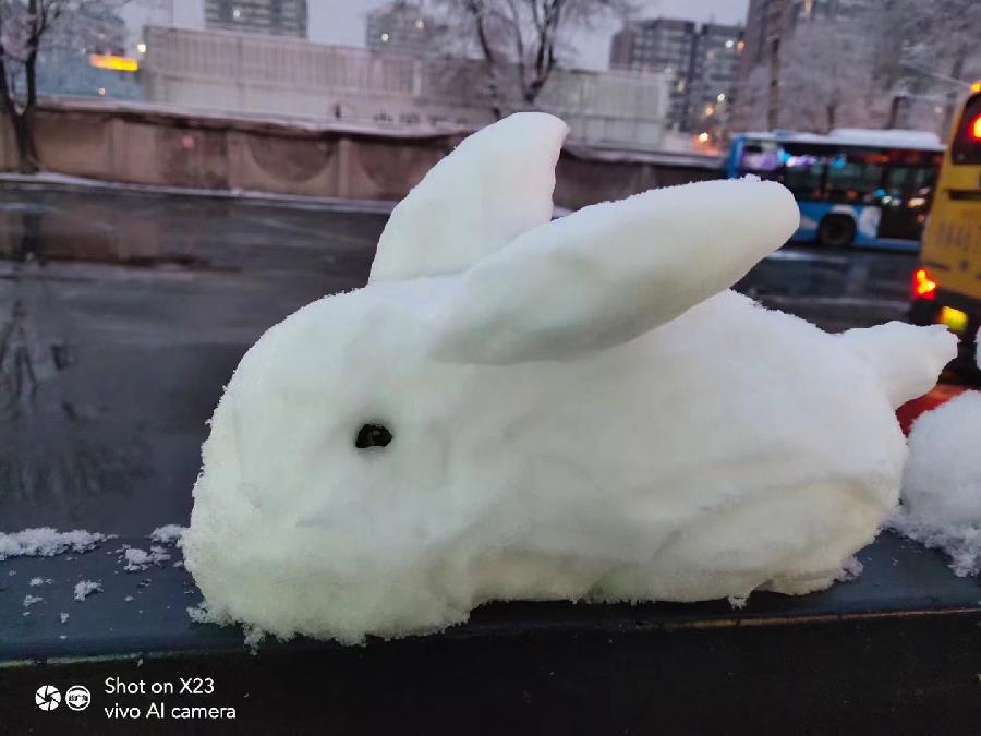 紫菱菱朗诵【京城无处不飞雪】作者/雷金钟（图4）