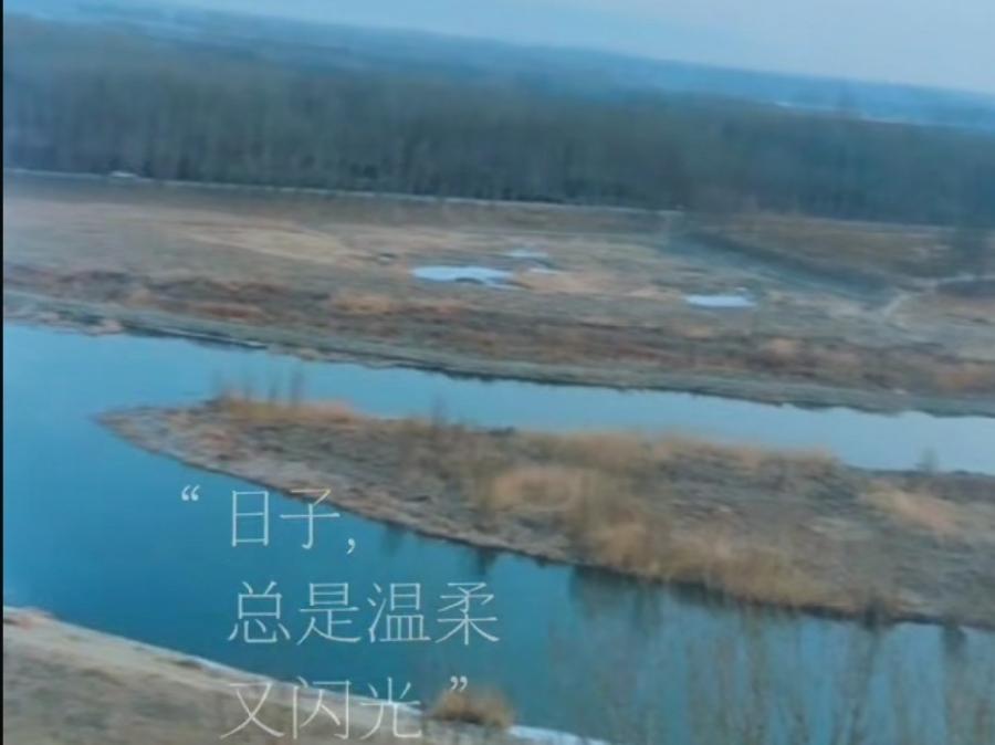 《九江文学社：有声文学平台》著名书法家余斯文先生佳作欣赏《沁园春.鲲鹏泪》精英主播/凤凰之歌（图5）