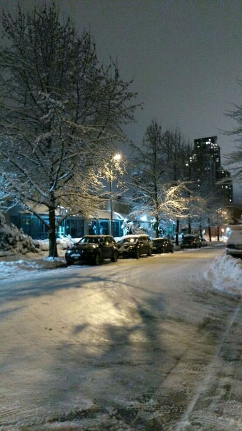 《大地的尽头》作者:雪原（吉林）【主播:层林尽染】【桃源国际诗歌集团】用声音传递温暖以诵读致敬人生♬（图4）