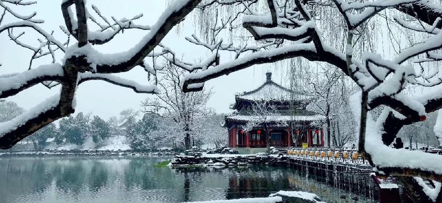 紫藤朗诵【京城无处不飞雪】作者/雷金钟（图4）