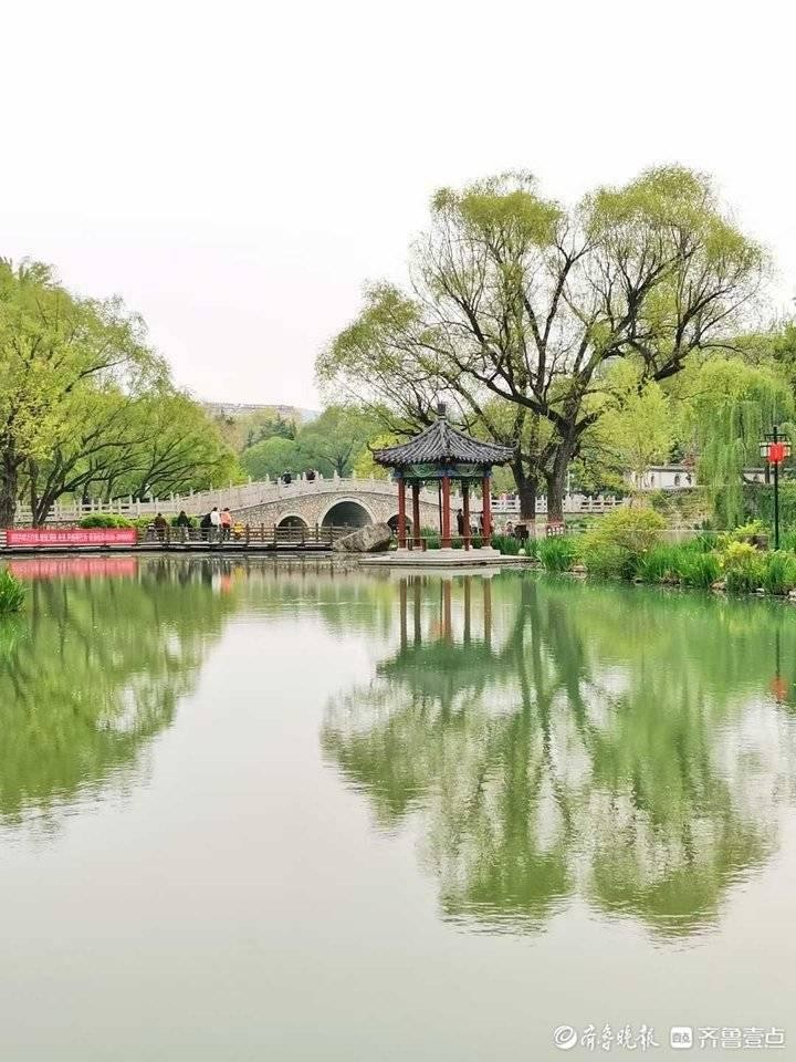 李卫朗诵【春来柳丝长】作者/石志华(图7)