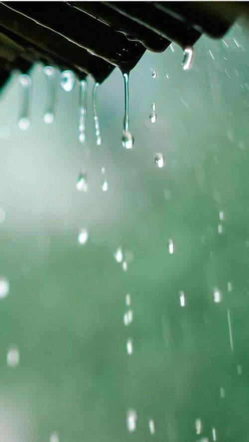 梦缘梦朗诵【初春的雨】作者/石志华（图6）