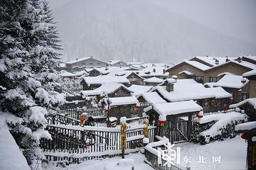 《欢愉》作者:雪原（吉林）【主播:刘树清】【桃源国际诗歌集团】用声音传递温暖以诵读致敬人生♬（图4）