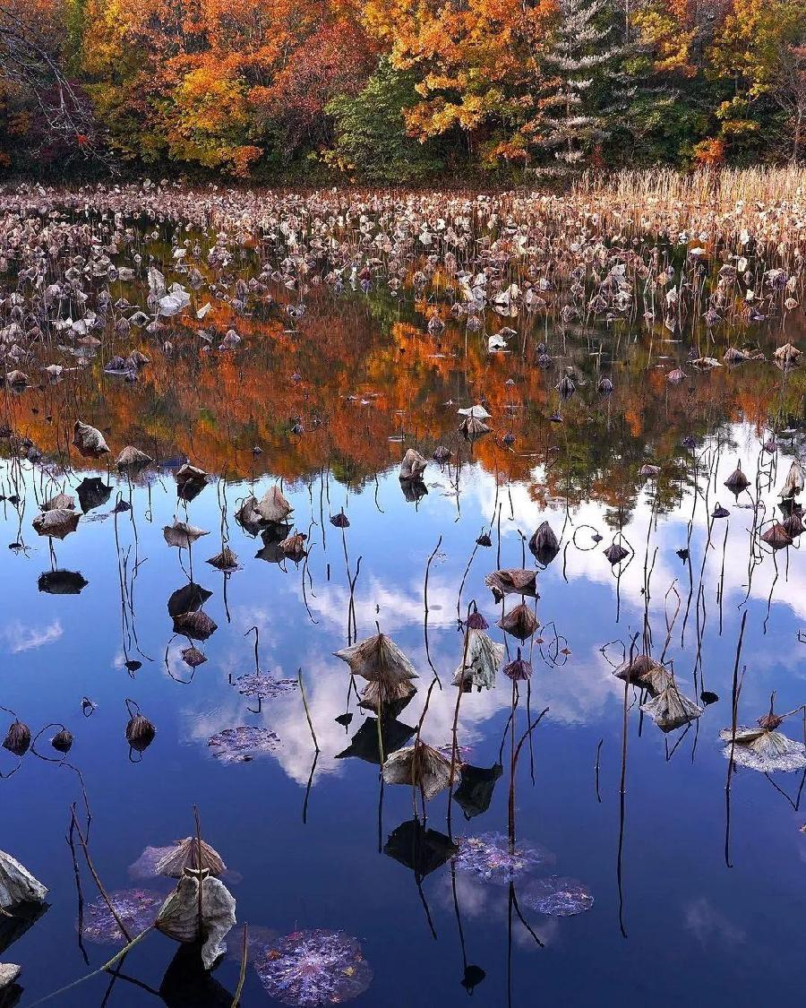 蔡玉芳朗诵【华发飘飘踏歌行】作者/马文振（图8）