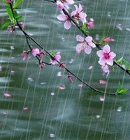《春雨》（外五首）作者：段飞（图2）