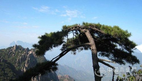 【神州源流诗苑】第873期[优秀近体诗]周刊（图10）