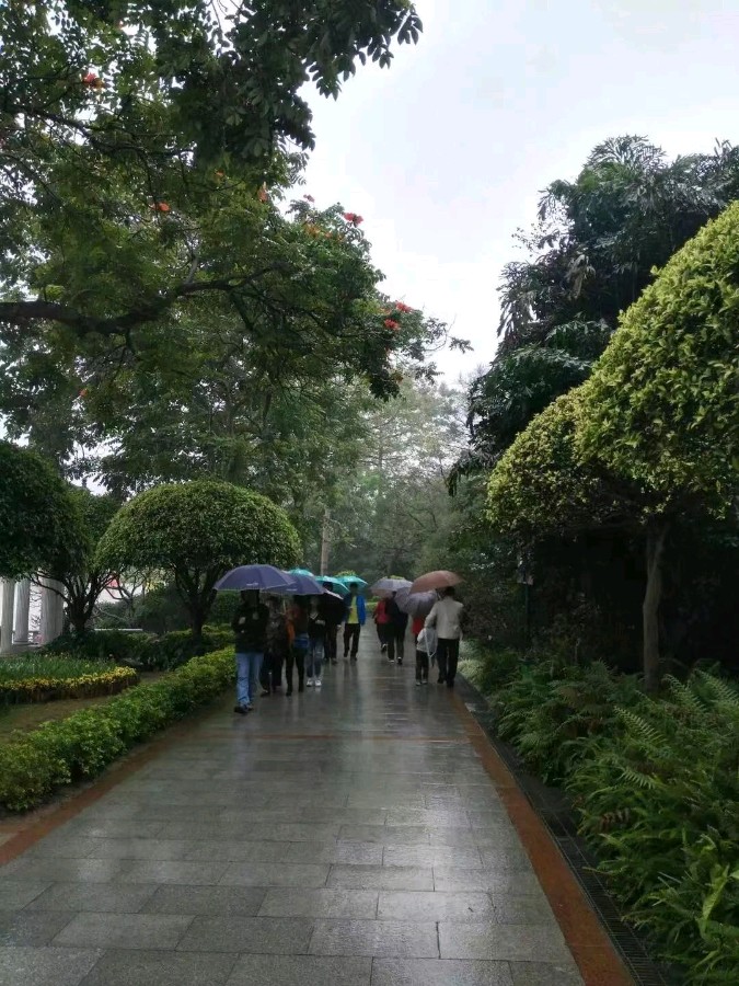 联机全球发布黄玉萍精品诗歌《雨中情》（图6）