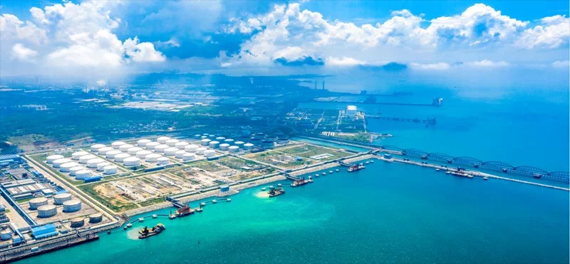 智诺科技文化信息产业专刊‖中国候鸟 文/南彊一（图4）