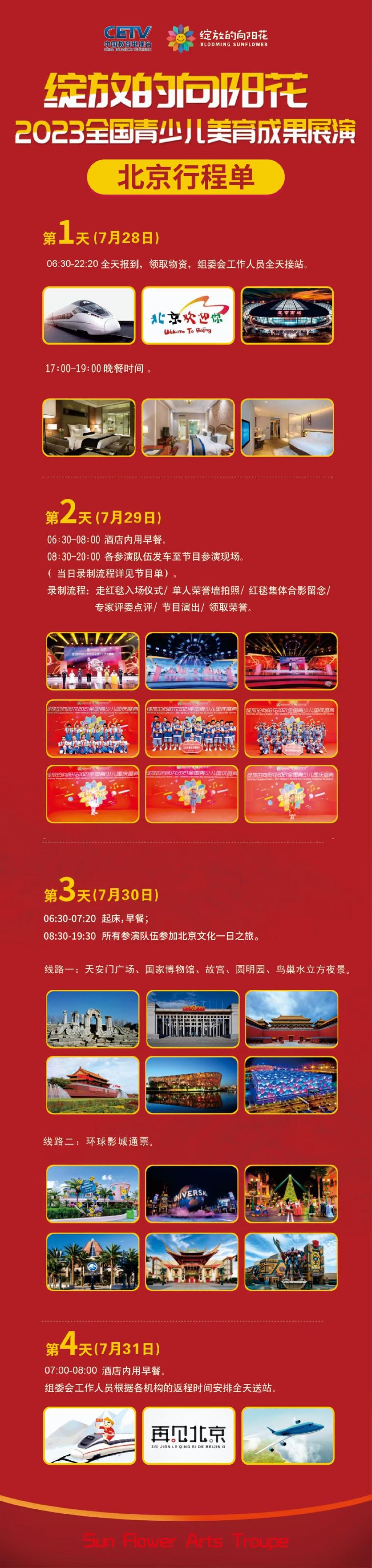 征集令|《绽放的向阳花》中国教育电视台卫视频道【2023全国青少儿美育成果展演】节目征集(图3)