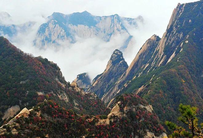 旭洋朗诵【父爱如山】作者/五彩云霞