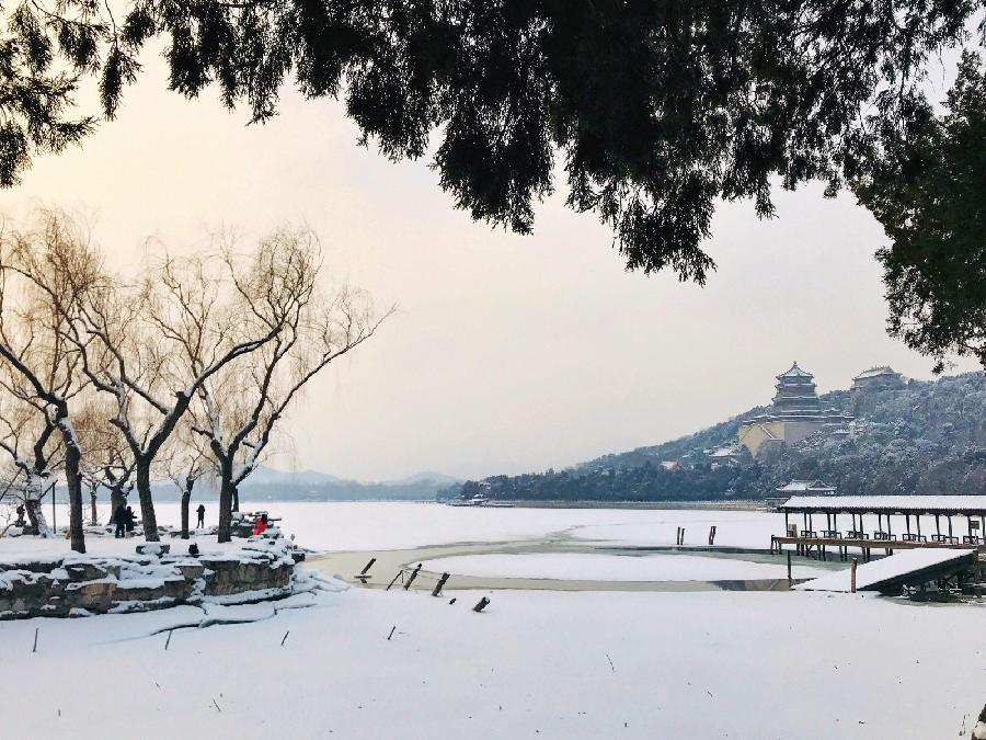 丽飞翔朗诵【五星红旗耀紫荆】作者/五彩云霞（图5）